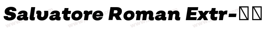 Salvatore Roman Extr字体转换